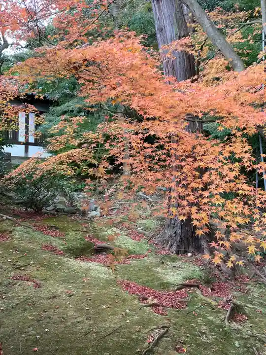 東福禅寺(東福寺)(京都府)