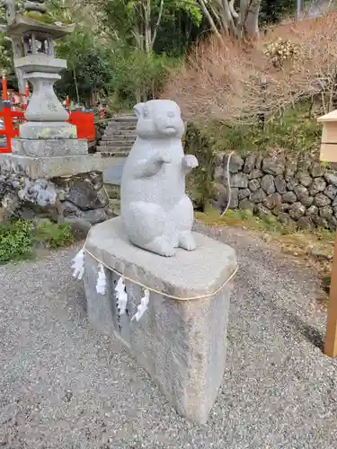 出雲大神宮の狛犬