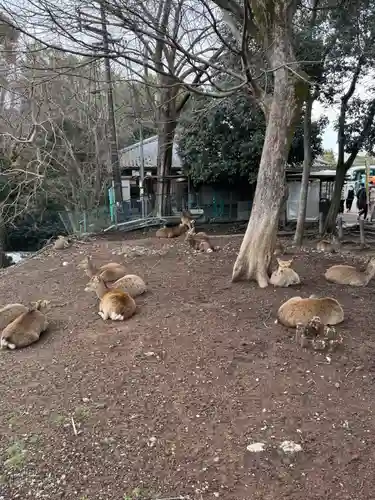 東大寺(奈良県)