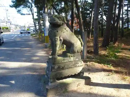 宮地嶽神社の狛犬