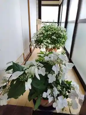 豊景神社の授与品その他