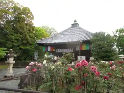 乙訓寺の本殿・本堂