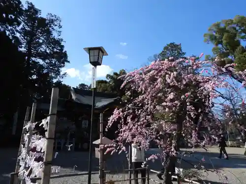 長岡天満宮(京都府)