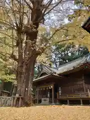 事任八幡宮の景色