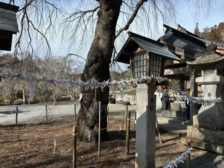 南湖神社の{uncategorized: "未分類", other: "その他", undefined: "問題あり", building: "その他建物", grave: "お墓", sacred_gate: "鳥居", guardian: "狛犬", statue: "像", buddha: "仏像", history: "歴史", nature: "自然", garden: "庭園", animal: "動物", pagoda: "塔", temizu: "手水舎", mountain_gate: "山門・神門", sanctuary: "本殿・本堂", subordinate: "末社・摂社", art: "芸術", scenery: "景色", jizo: "地蔵", ema: "絵馬", goshuin: "御朱印", omikuji: "おみくじ", items: "授与品その他", amulet: "お守り", goshuincho: "御朱印帳", eats: "食事", festival: "お祭り", votive_dance: "神楽", shichigosan: "七五三参", wedding: "結婚式", experience: "体験その他", initially: "初詣", around: "周辺", anti_infection: "感染症対策"}