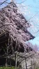 真正極楽寺（真如堂）の建物その他