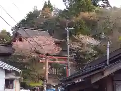 吉野水分神社の鳥居