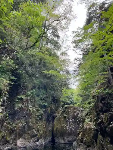 元伊勢天岩戸神社(京都府)