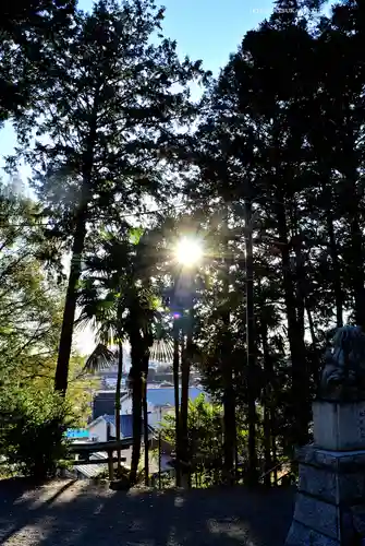 西八朔杉山神社(神奈川県)