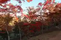 葭原観音堂(静岡県)