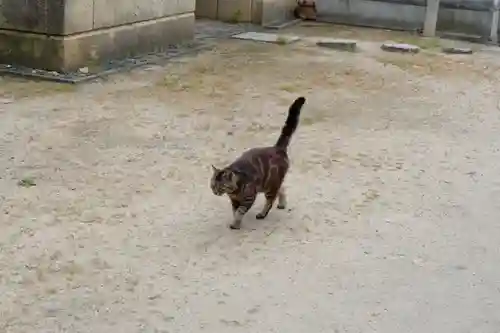 光明寺(広島県)