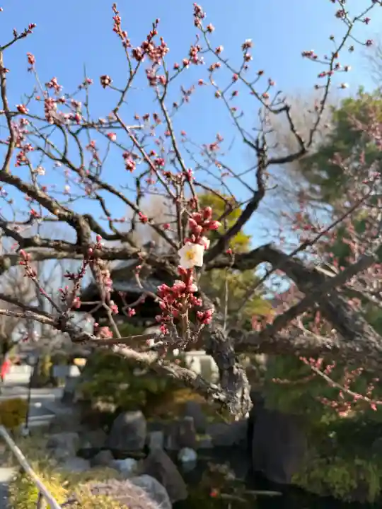 大蓮寺の{uncategorized: "未分類", other: "その他", undefined: "問題あり", building: "その他建物", grave: "お墓", sacred_gate: "鳥居", guardian: "狛犬", statue: "像", buddha: "仏像", history: "歴史", nature: "自然", garden: "庭園", animal: "動物", pagoda: "塔", temizu: "手水舎", mountain_gate: "山門・神門", sanctuary: "本殿・本堂", subordinate: "末社・摂社", art: "芸術", scenery: "景色", jizo: "地蔵", ema: "絵馬", goshuin: "御朱印", omikuji: "おみくじ", items: "授与品その他", amulet: "お守り", goshuincho: "御朱印帳", eats: "食事", festival: "お祭り", votive_dance: "神楽", shichigosan: "七五三参", wedding: "結婚式", experience: "体験その他", initially: "初詣", around: "周辺", anti_infection: "感染症対策"}
