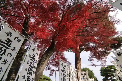 開成山大神宮の庭園