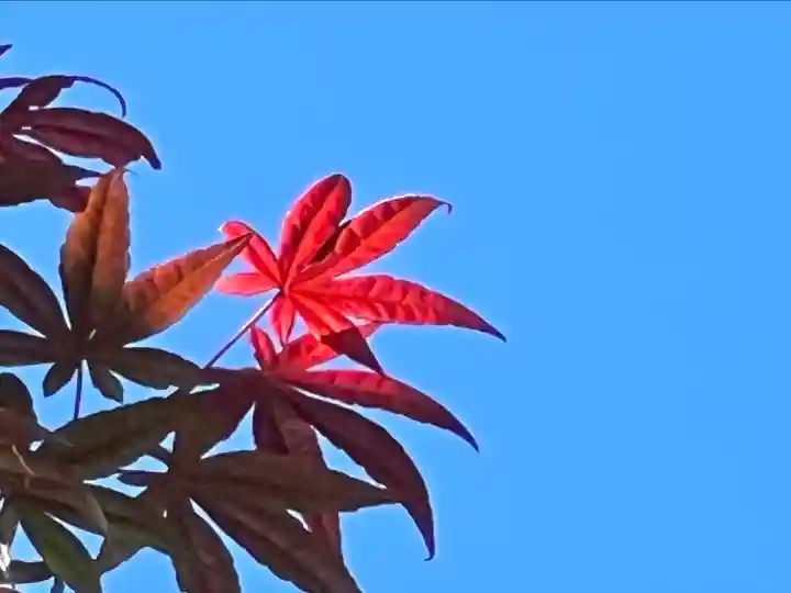 良性院(長野県)