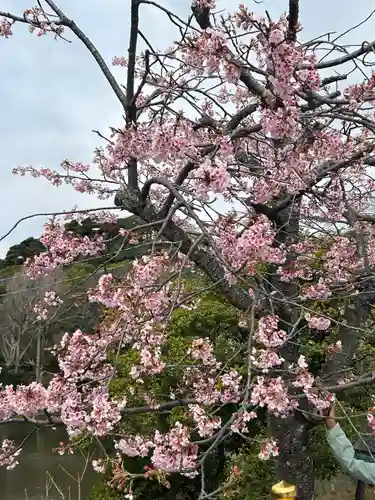 鶴岡八幡宮(神奈川県)