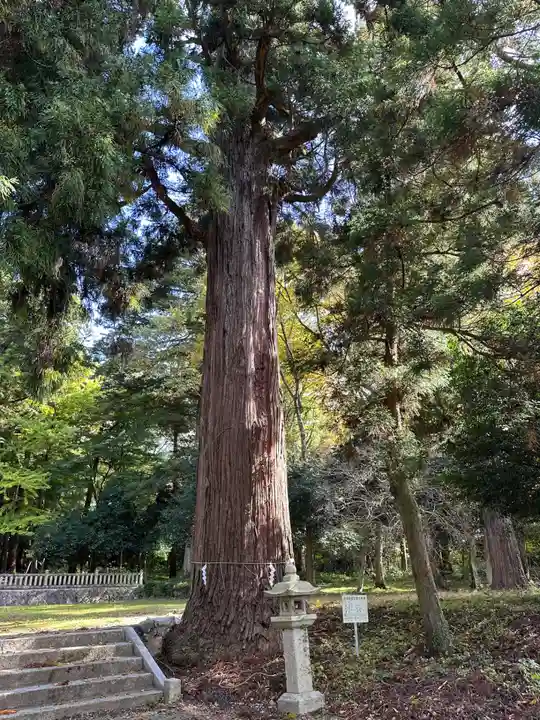 意波閇神社(滋賀県)