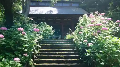 妙法寺の山門