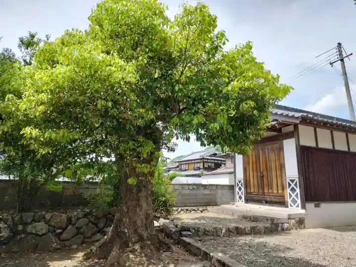 月讀神社の{uncategorized: "未分類", other: "その他", undefined: "問題あり", building: "その他建物", grave: "お墓", sacred_gate: "鳥居", guardian: "狛犬", statue: "像", buddha: "仏像", history: "歴史", nature: "自然", garden: "庭園", animal: "動物", pagoda: "塔", temizu: "手水舎", mountain_gate: "山門・神門", sanctuary: "本殿・本堂", subordinate: "末社・摂社", art: "芸術", scenery: "景色", jizo: "地蔵", ema: "絵馬", goshuin: "御朱印", omikuji: "おみくじ", items: "授与品その他", amulet: "お守り", goshuincho: "御朱印帳", eats: "食事", festival: "お祭り", votive_dance: "神楽", shichigosan: "七五三参", wedding: "結婚式", experience: "体験その他", initially: "初詣", around: "周辺", anti_infection: "感染症対策"}