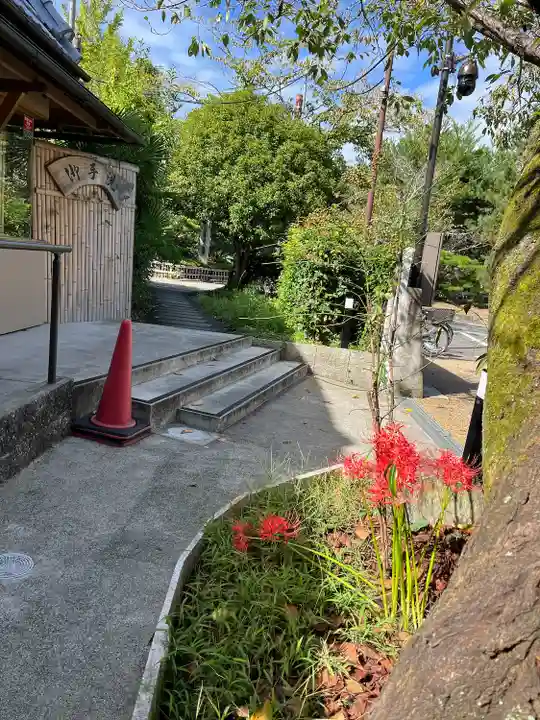 大覚寺(京都府)