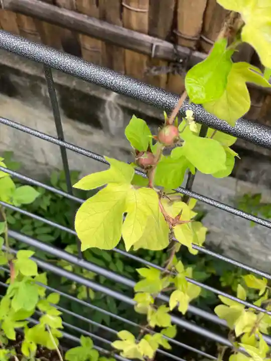 伊勢の国 四天王寺の庭園