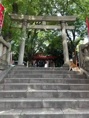 笠䅣稲荷神社(神奈川県)