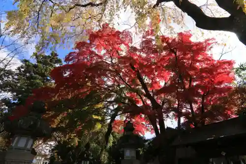 神炊館神社 ⁂奥州須賀川総鎮守⁂の庭園