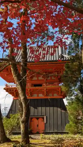 仁和寺のその他建物