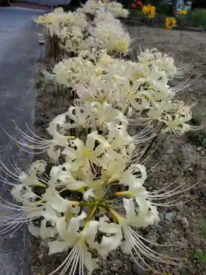 如宝寺(福島県)