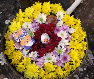 真言宗　善通寺派　薬王寺(香川県)