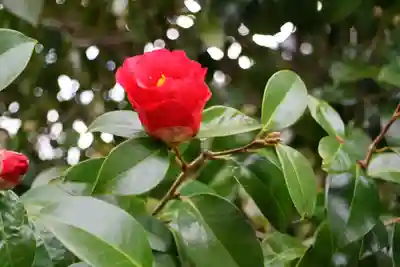 晴門田神社の自然