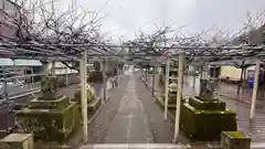 大歳神社(兵庫県)