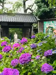 資福禅寺の自然