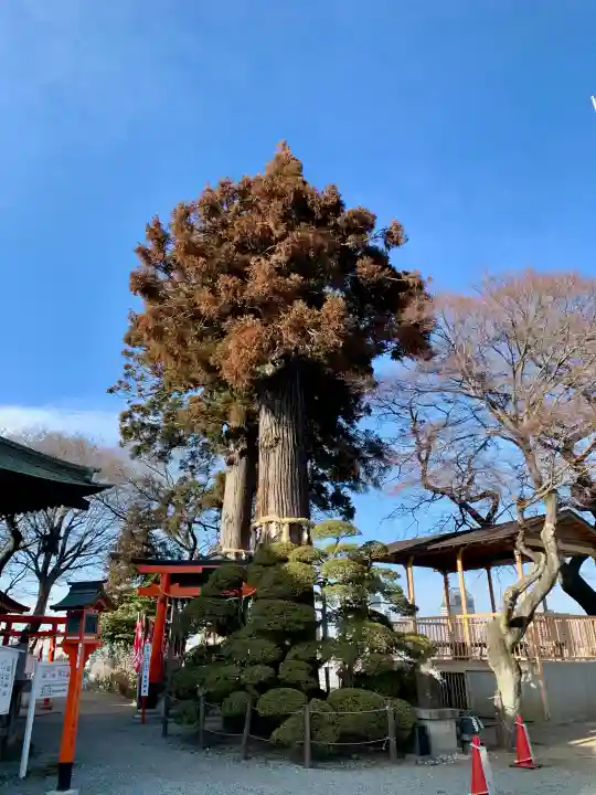 愛宕神社の{uncategorized: "未分類", other: "その他", undefined: "問題あり", building: "その他建物", grave: "お墓", sacred_gate: "鳥居", guardian: "狛犬", statue: "像", buddha: "仏像", history: "歴史", nature: "自然", garden: "庭園", animal: "動物", pagoda: "塔", temizu: "手水舎", mountain_gate: "山門・神門", sanctuary: "本殿・本堂", subordinate: "末社・摂社", art: "芸術", scenery: "景色", jizo: "地蔵", ema: "絵馬", goshuin: "御朱印", omikuji: "おみくじ", items: "授与品その他", amulet: "お守り", goshuincho: "御朱印帳", eats: "食事", festival: "お祭り", votive_dance: "神楽", shichigosan: "七五三参", wedding: "結婚式", experience: "体験その他", initially: "初詣", around: "周辺", anti_infection: "感染症対策"}