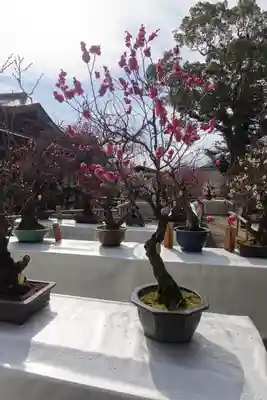 菅原天満宮（菅原神社）のその他建物