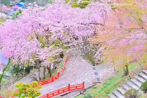 金櫻神社(山梨県)