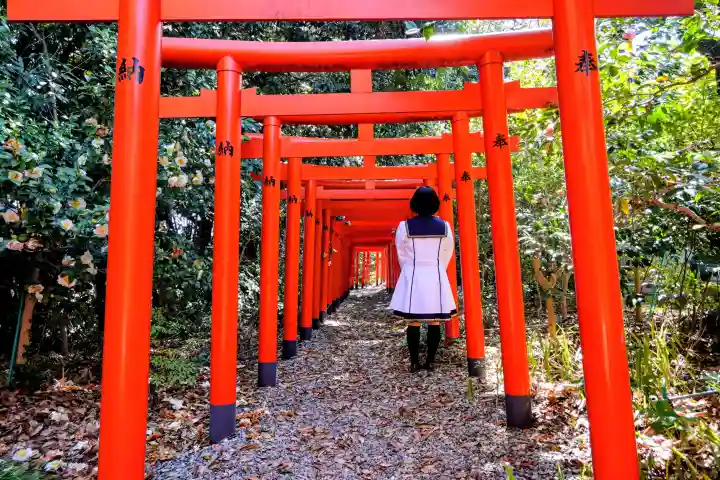 満福寺(三好稲荷閣)の{uncategorized: "未分類", other: "その他", undefined: "問題あり", building: "その他建物", grave: "お墓", sacred_gate: "鳥居", guardian: "狛犬", statue: "像", buddha: "仏像", history: "歴史", nature: "自然", garden: "庭園", animal: "動物", pagoda: "塔", temizu: "手水舎", mountain_gate: "山門・神門", sanctuary: "本殿・本堂", subordinate: "末社・摂社", art: "芸術", scenery: "景色", jizo: "地蔵", ema: "絵馬", goshuin: "御朱印", omikuji: "おみくじ", items: "授与品その他", amulet: "お守り", goshuincho: "御朱印帳", eats: "食事", festival: "お祭り", votive_dance: "神楽", shichigosan: "七五三参", wedding: "結婚式", experience: "体験その他", initially: "初詣", around: "周辺", anti_infection: "感染症対策"}