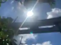 葛木御歳神社(奈良県)