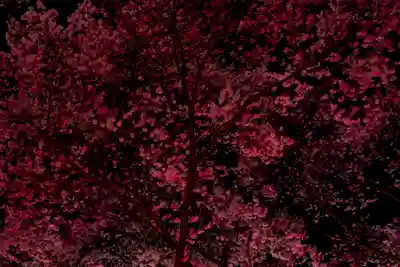 新城藤原神社(長野県)