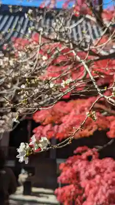 赤山禅院(京都府)