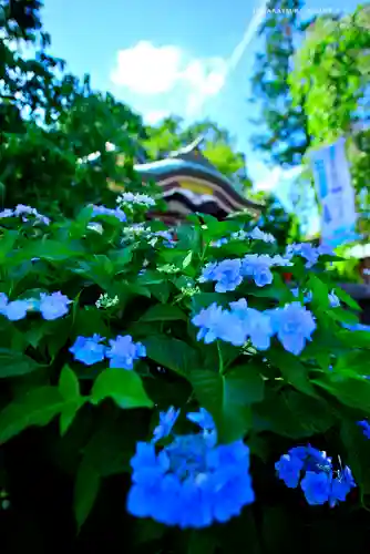 川越八幡宮(埼玉県)