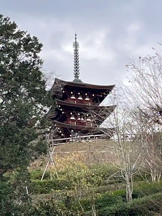 岡寺(龍蓋寺)(奈良県)