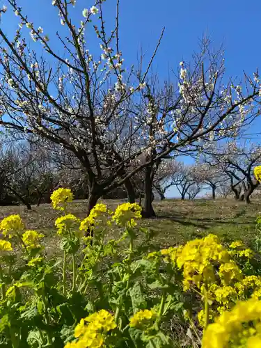 神前神社(岡山県)