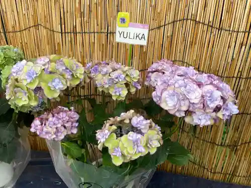 長國寺(東京都)