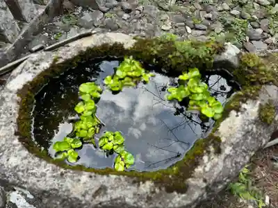 北口本宮冨士浅間神社(山梨県)