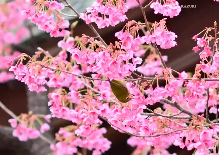 荏原神社(東京都)