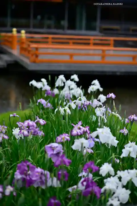 伊勢神宮外宮(豊受大神宮)(三重県)