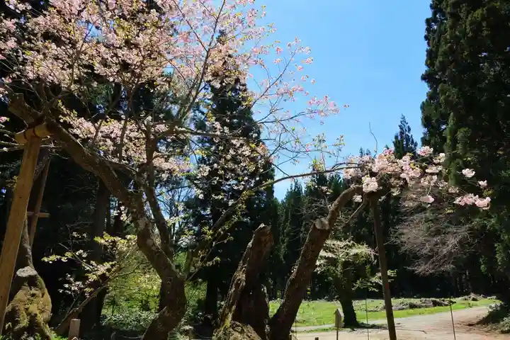 磐椅神社の自然