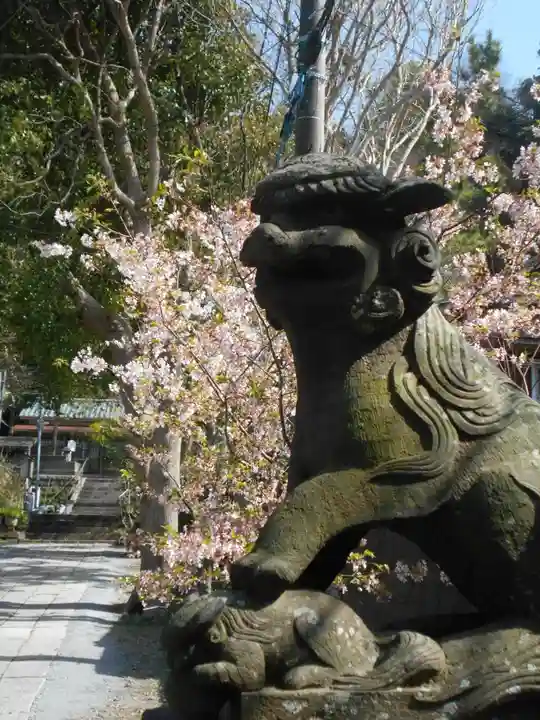 五所神社の狛犬