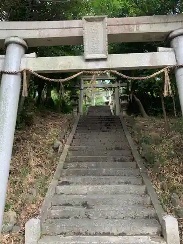 津島神社の鳥居