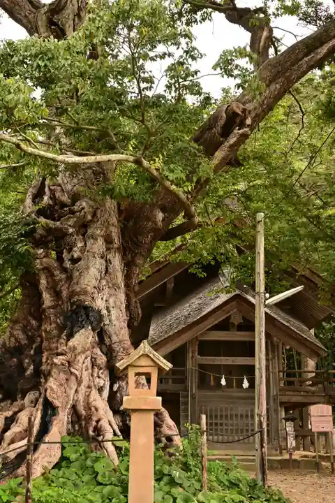 神魂伊能知奴志神社(島根県)